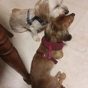 Meet your Posher, Mary